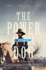 The.Power .of .the .Dog .1XBET