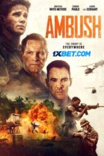 Ambush.1XBET
