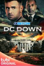DC.Down .1XBET