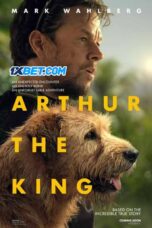Arthur.the .King .1XBET 1
