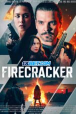 Firecracker.1XBET