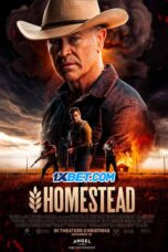 Homestead.1XBET