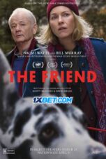 The.Friend.1XBET 1